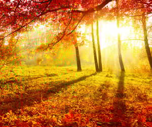 Countdown to Autumn (or Fall) - Wednesday, 23 September 2026