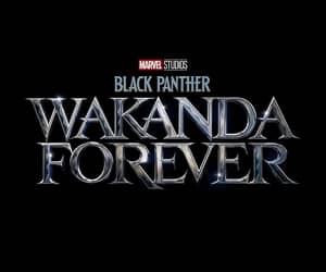 Countdown to Black Panther: Wakanda Forever - Friday, 11 November 2022