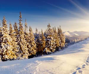 Countdown to First Day of Winter - Monday, 21 December 2026