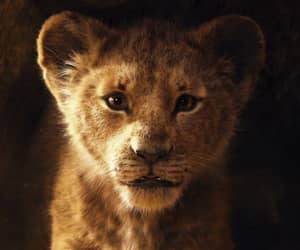 Countdown to The Lion King - Friday, 19 July 2019