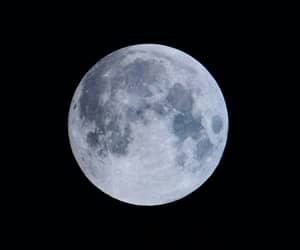 First Quarter Moon (March 2026)