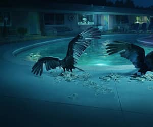 Countdown to Ozark - Friday, 31 August 2018