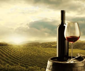 Countdown to Beaujolais Nouveau Day - Thursday, 19 November 2026