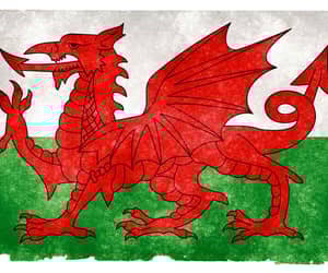 Countdown to Saint David's Day - Sunday, 1 March 2026